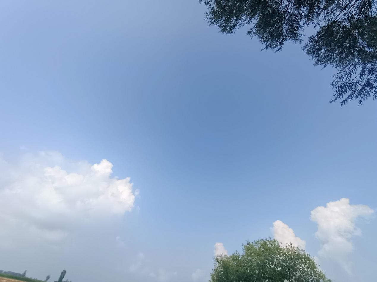 M88 APP下载