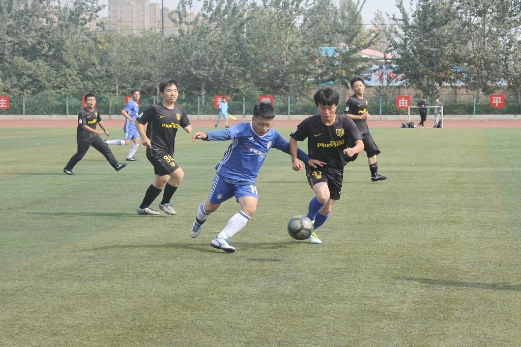 M88 APP下载