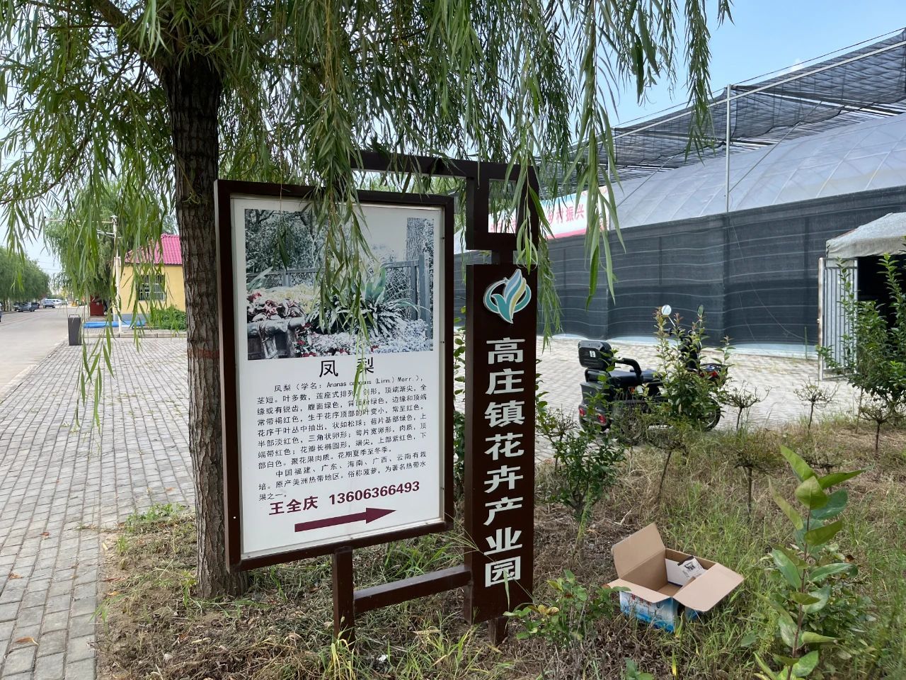 M88 APP下载
