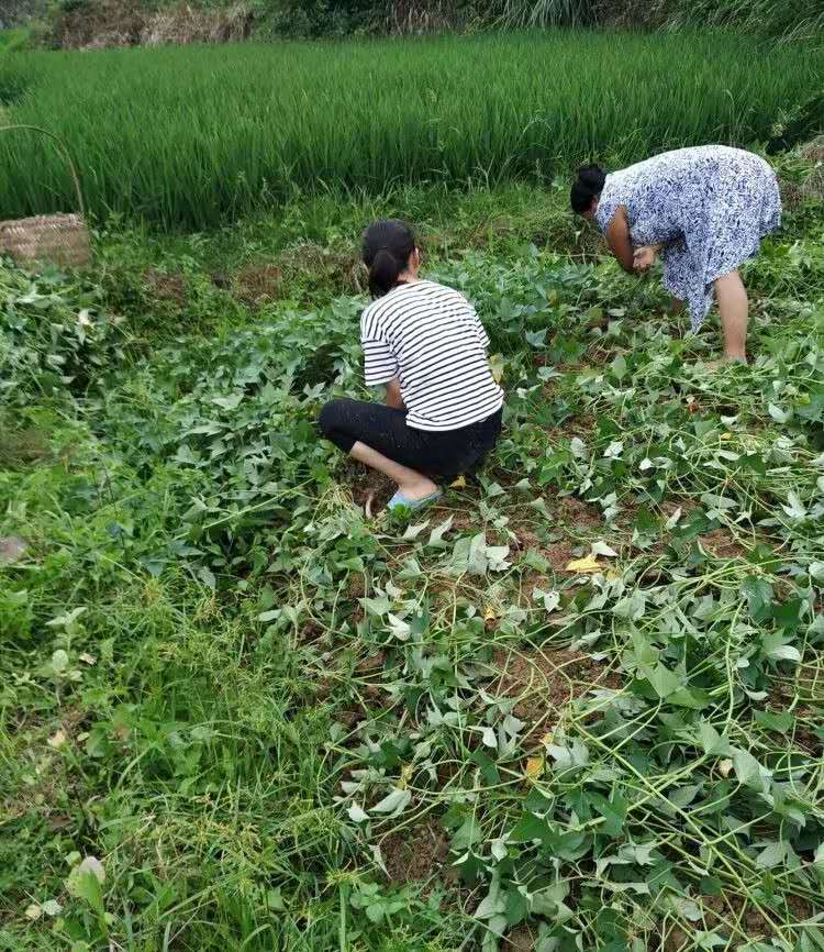 M88 APP下载