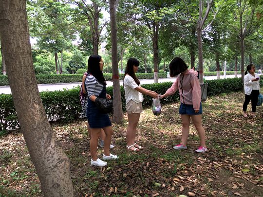 1464958309764034027.jpg M88 APP下载